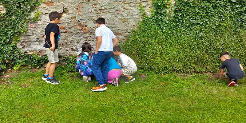 Giornata dell'ambiente